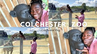 COLCHESTER ZOO [upl. by Odell]