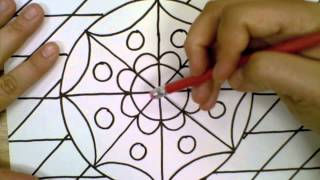 Radial Symmetry 3rd Grade [upl. by Ayatnwahs]