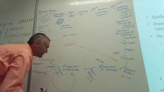 Gregarina cuneata Coccidian introduction and Eimeria tenella life cycle [upl. by Adam]