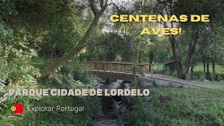 Parque da cidade de Lordelo  Explorar Portugal [upl. by Serolod]