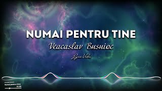 Veaceslav Busuioc  Numai pentru tine  Lyric video [upl. by Annaeirb]