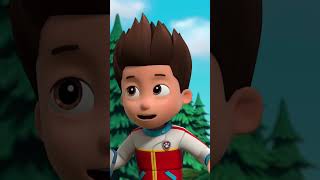 Tlapky pomáhají lososovi skočit přes Bobří přehradu  PAWPatrol Shorts Czechia [upl. by Aneres783]