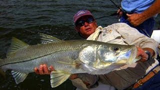 Southwest Florida Fishing for Monster Snook and Permit [upl. by Stavro]