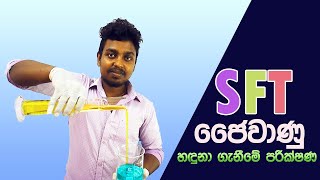 SFT  ජෛවාණු හදුනාගැනීමේ පරීක්ෂණ  Biomolecular Detection Test  Suganda Kithulgoda [upl. by Roderica]