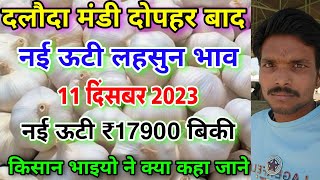 दलौदा मंडी दोपहर का नई ऊटी लहसुन का भाव 11 दिसंबर 2023 new ooty garlic rate today nai lahsun bhav [upl. by Abixah]