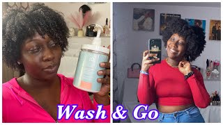 ONE PRODUCT Wash amp Go  Type 4 Hair [upl. by Anhaj]