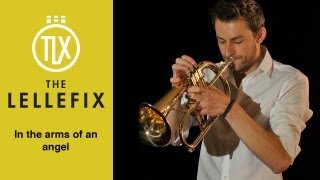 In the arms of an angel  Sarah McLachlan  Trumpet cover Flugelhorn [upl. by Damahom]