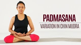 How to do Padmasana a Variation using Chin Mudra  Yoga  Sitting Postures [upl. by Ogilvie]