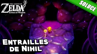 Entrailles de Nihil QuêteSolution  The Legend of Zelda Echoes of Wisdom [upl. by Anerbas664]