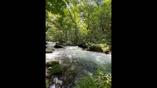 Oirasekeiryū gorge Aomori Sept 2024 [upl. by Tarttan]