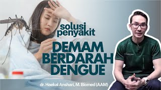 Waspada Demam Berdarah Dengue Ini Gejala dan Pengobatannya  Kata Dokter [upl. by Reagen]