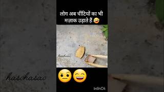 लोग अब चींटियों का भी मज़ाक उड़ाते हैं 🤣youtubeshorts shorts funny trending।।Ant [upl. by Retsek]