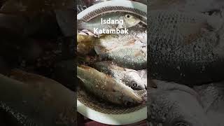 Isdang Katambak so fresh food provincevlog fish fresh vlogs [upl. by Adest]