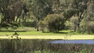 Quirindi Heritage Village RailwayQuirindi [upl. by Mellette]