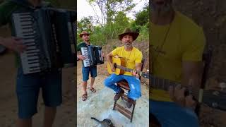 CHAMBE E DINONE  ESTRADA DA VIDA  MILIONÁRIO E JOSÉ RICO  SOLO caipira sertanejo musica [upl. by Olpe]