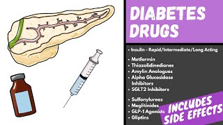 Diabetes Medication Explained  Diabetes Drugs Mechanism Side Effects and Classification [upl. by Deva]