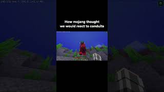 Minecraft Conduit Moment [upl. by Cord]