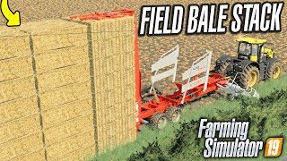 STACK AND STORE OR TAKE THE MONEY  Farming Simulator 19 GROWERS FARM Ep 9 [upl. by Haelem41]