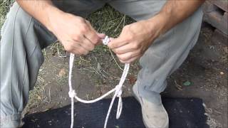 Como hacer Jáquima cabezal o bozal de cuerda Rope Halter  con Cristobal Scarpati [upl. by Solokin]