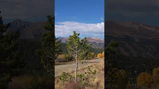 LEAF PEEPER REPORT SEPTEMBER 27th COLORADO [upl. by Ikciv561]