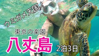 【八丈島】羽田から55分のパラダイスでウミガメとランデヴー【伊豆諸島】 [upl. by Nata707]