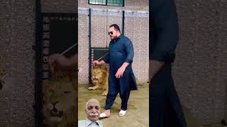 punjabi tiger lion animals punjabisong ytshorts [upl. by Drobman]