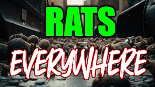 Rats EVERYWHERE [upl. by Ordnassela470]