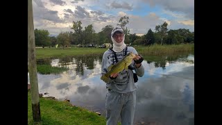 Boskop Dam Bass Fishing March 2021 Part 1 [upl. by Anerul]