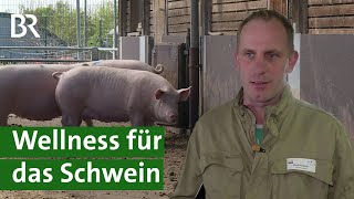 Forschung an TierwohlSchweinestall Mehr Tiergesundheit in der Schweinehaltung  Unser Land  BR [upl. by Lezley144]