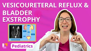 Vesicoureteral Reflux amp Bladder Exstrophy Alterations in Health  Pediatric Nursing  LevelUpRN [upl. by Bascomb]