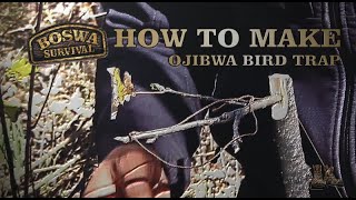 How to make an ojibwa bird trap [upl. by Ecnerwaled286]