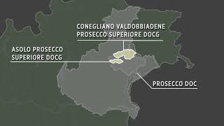 An introduction to Conegliano Valdobbiadene Prosecco Superiore DOCG [upl. by Amity476]