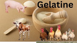 Gelatine Secrets  How gelatine made  Benefits of gelatine [upl. by Yrohcaz]