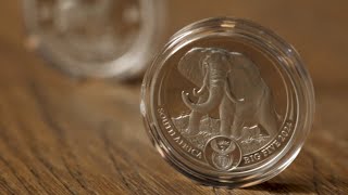 2024 Big 5 Elephant Series III Proof Full Video [upl. by Gilberte52]