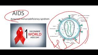 HIV and AIDS  Transmission Pathology symptoms diagnosis treatment prevention [upl. by Kcirdderf46]