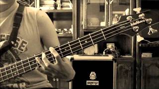 FUISTE TU  Ricardo Arjona y Gaby Moreno COVER BAJO [upl. by Brian482]