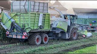 Bunkerhäcksler Field Shuttle 🇨🇭🌽 und Maispresse Orkel bei der Maisernte [upl. by Yelrebmik523]