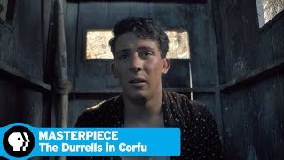 THE DURRELLS IN CORFU on MASTERPIECE  Episode 4 Scene  PBS [upl. by Qulllon]