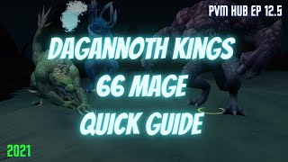 REVOLUTION Guide to Dagannoth Kings  LOW LEVEL GUIDE  2021  The PvM Hub Ep 125 [upl. by Assereht10]