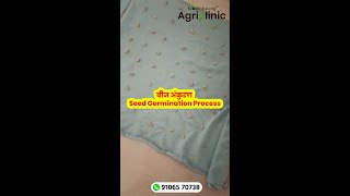 बीज अंकुरण  Seed Germination Process  Wheat [upl. by Eikcin152]