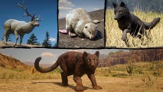 Playing as Legendary Animals in Red Dead Redemption 2 PC → Legendary  Panther Beaver Coyote Elk [upl. by Jasik729]