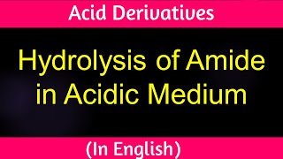 Hydrolysis of amide in acidic medium I Lecture I IITian Faculty [upl. by Oirrad709]