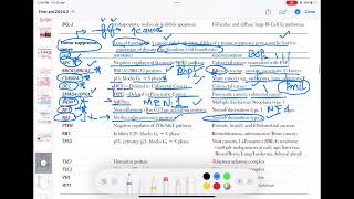 Tumor Suppressor Gene Pathology 44  First Aid USMLE Step 1 in UrduHindi [upl. by Yrrak871]