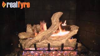 Real Fyre Coastal Driftwood Gas Logs Live Burn Video – eFireplaceStore [upl. by Killion432]