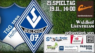 21Spieltag TSG Hoffenheim II  SV Waldhof [upl. by Ezitram827]