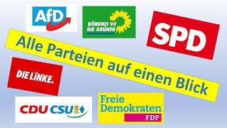 Alle Parteien in Deutschland  kurz erklärt  Bundestagswahl 21  Politik [upl. by Pablo]