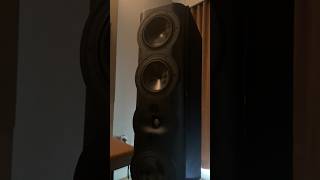 Who has heard the Perlisten S Series speakers before 👋👋 audioadvicelive [upl. by Ducan]