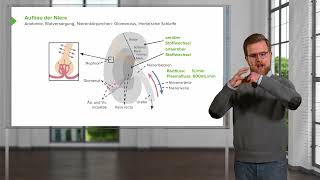 Nierenfunktion und Wasser amp Elektrolythaushalt Aufbau und Funktion der Niere [upl. by Giannini5]