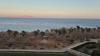 Sheraton Sharm Hotel Resort Villas And Spa Al Pasha Coast Sharm El Sheikh Egypt October 2024 [upl. by Trefor962]