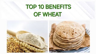 Top 10 benefits of wheat toptips wheat [upl. by Vanda]